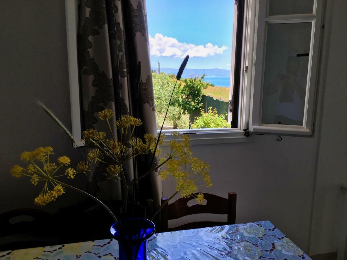 Anthoula'S Sea View Apartment 皮索·里瓦蒂 外观 照片