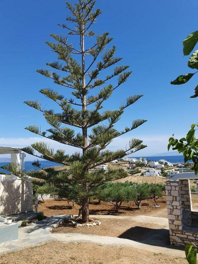 Anthoula'S Sea View Apartment 皮索·里瓦蒂 外观 照片