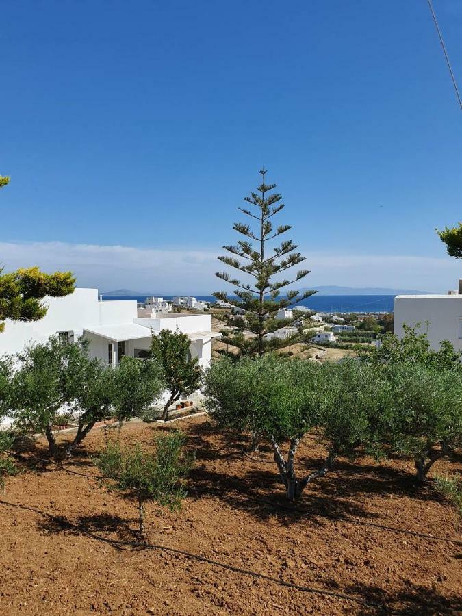 Anthoula'S Sea View Apartment 皮索·里瓦蒂 外观 照片