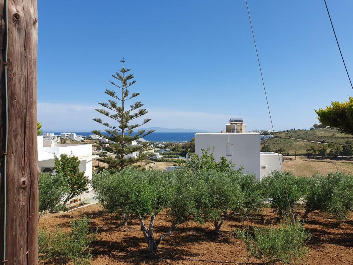 Anthoula'S Sea View Apartment 皮索·里瓦蒂 外观 照片